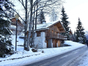 Chalet cosy 6 pers. à 100m des pistes avec garage fermé et parking, Méribel - FR-1-180-411